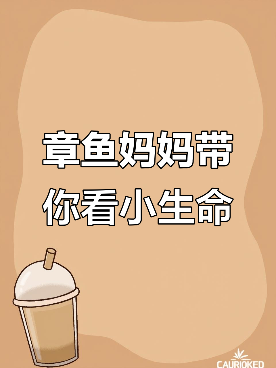 母蓝环章鱼产卵全过程,触手细心照顾宝宝成长