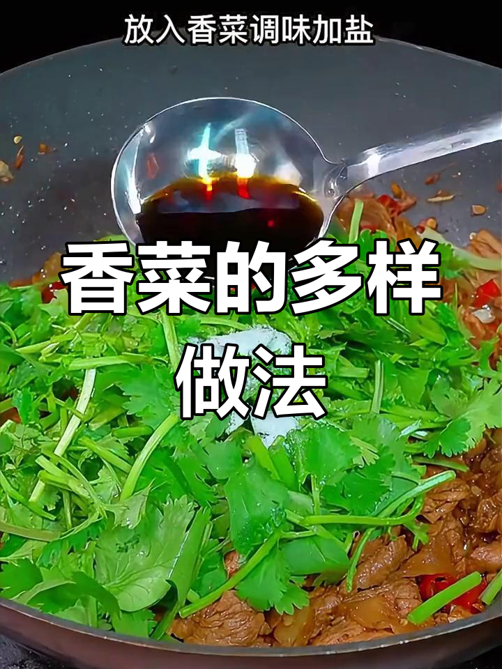 香菜多种吃法,炸丸子、炒肉、凉拌应有尽有!