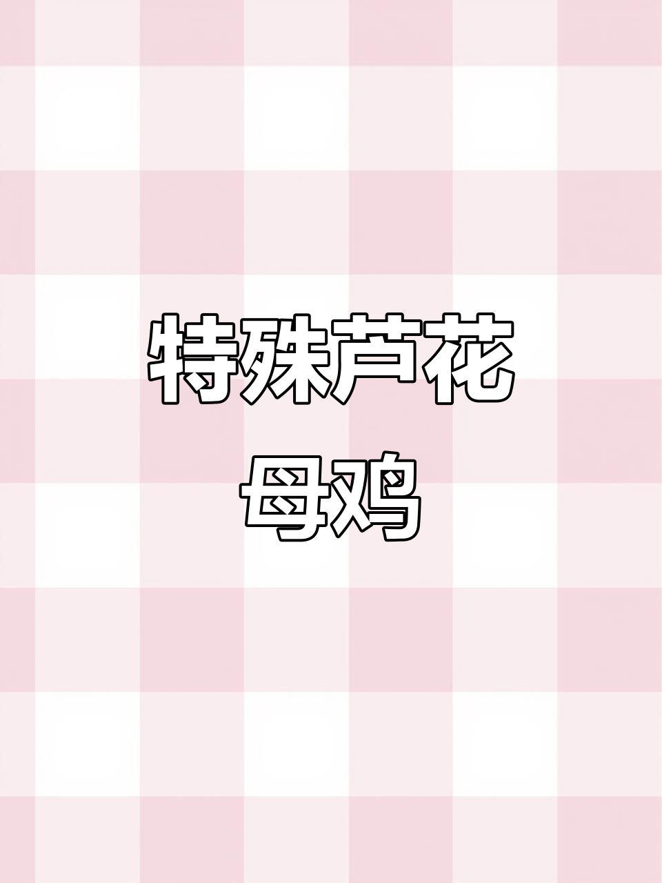 这只芦花母鸡有点特别,竟然有两个眼睛一张嘴!