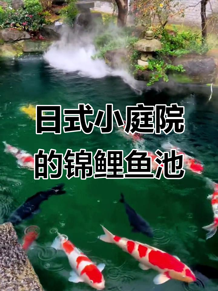 浙江杭州日式小庭院50立方鱼池,智能净化系统让水质更佳