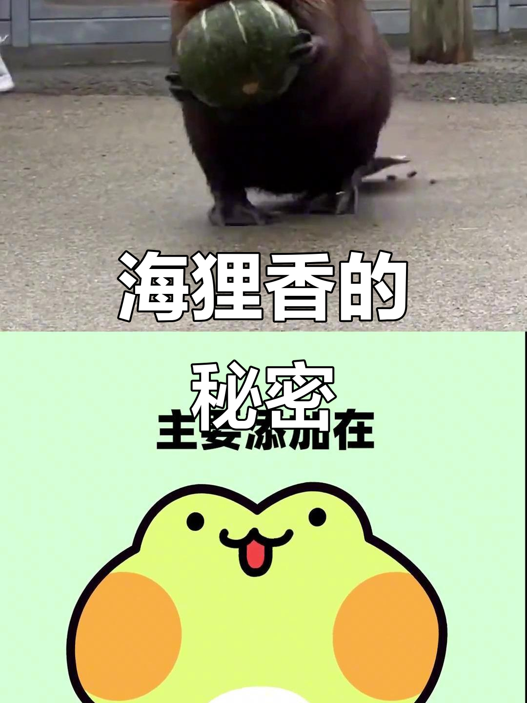 你吃过的香草冰激凌,竟然是这样做出来的!海狸肛门腺的秘密