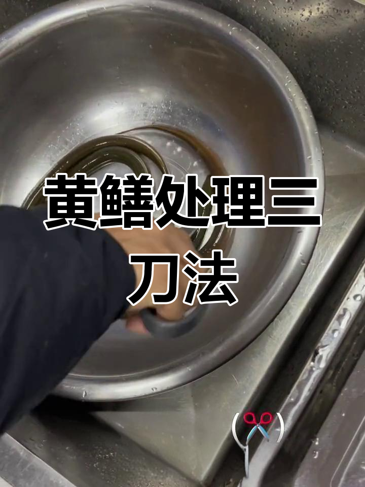 轻松杀黄鳝,3步搞定