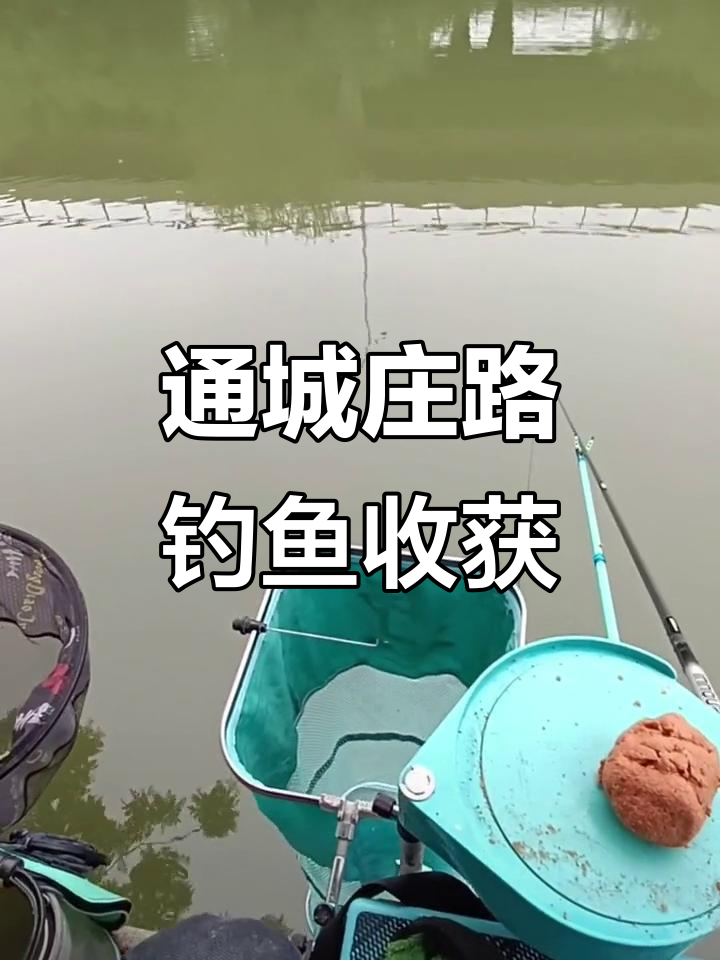 钓鱼达人通城庄路大丰收,零点三子线切副钓获满满
