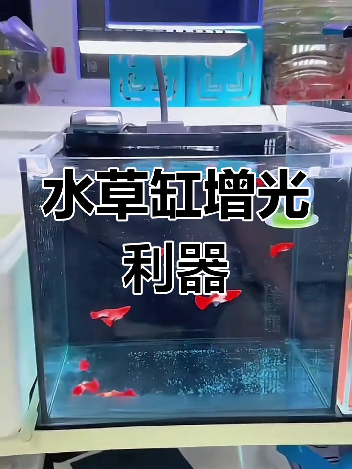 沃韦朗鱼缸灯,增色水草造景必备,适合小型水族箱