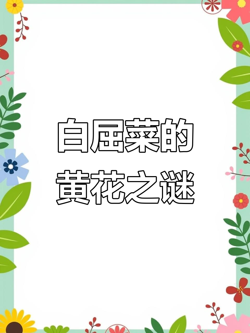 认识白荠菜:黄色小花背后的秘密