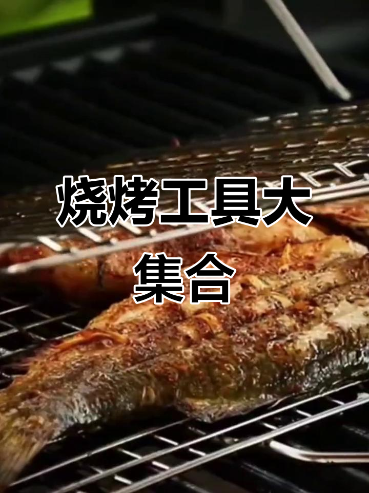 户外烧烤必备:烤鱼网、夹子与篦子,轻松享受美味
