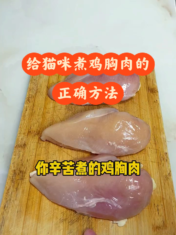 给猫咪煮鸡胸肉的正确方法