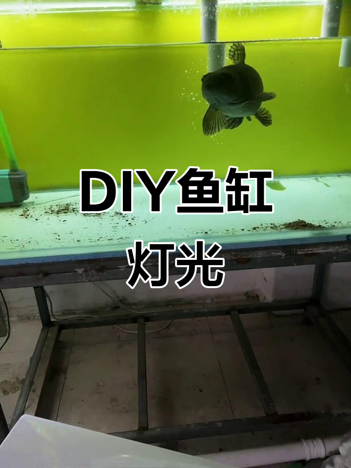 用灯带DIY鱼缸装饰，效果超赞！