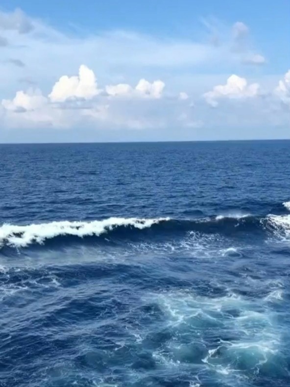 「海洋」高清全屏动态壁纸