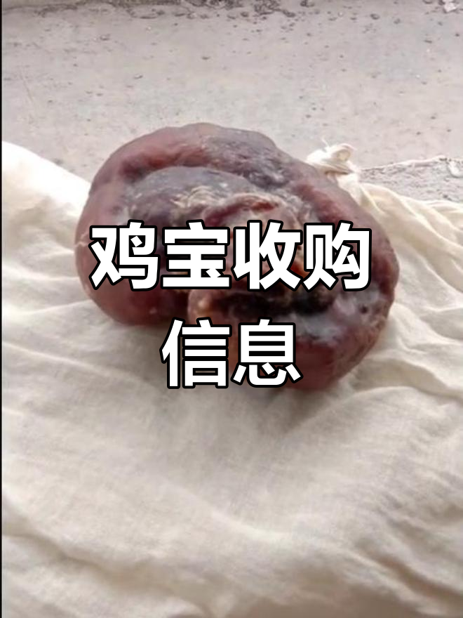 药材公司收购鸡宝,价格可议