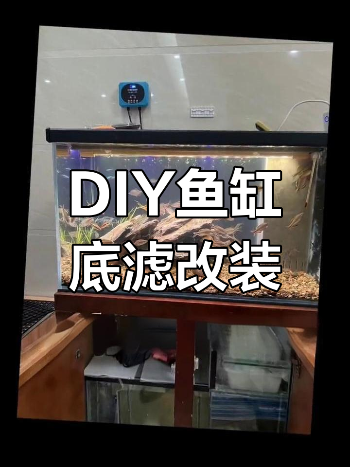 2月16日,鱼缸底滤改造与直角溢流设计