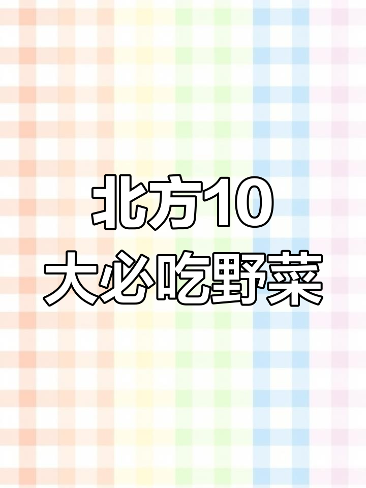 北方十大野菜美食,最后一道你绝对没吃过!