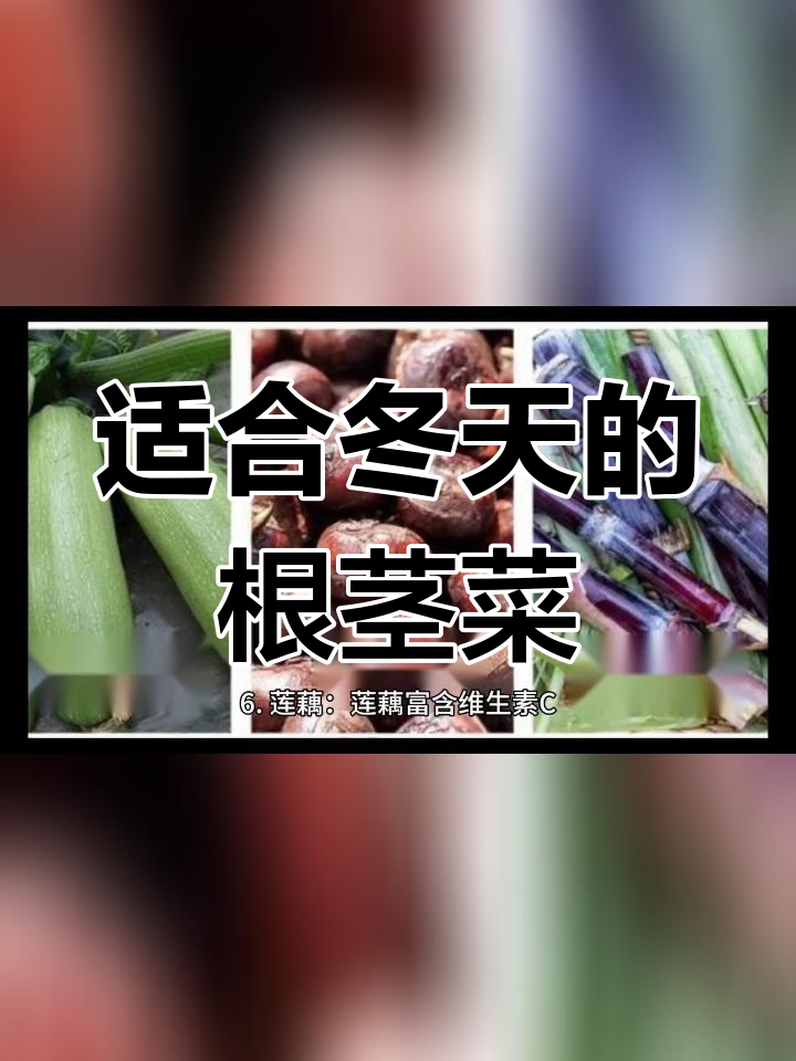 冬季根茎类蔬菜推荐