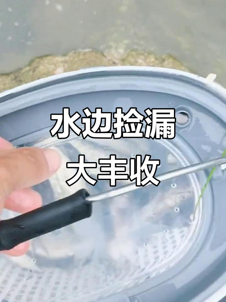 意外发现鱼筐,竟然有这么多鱼!