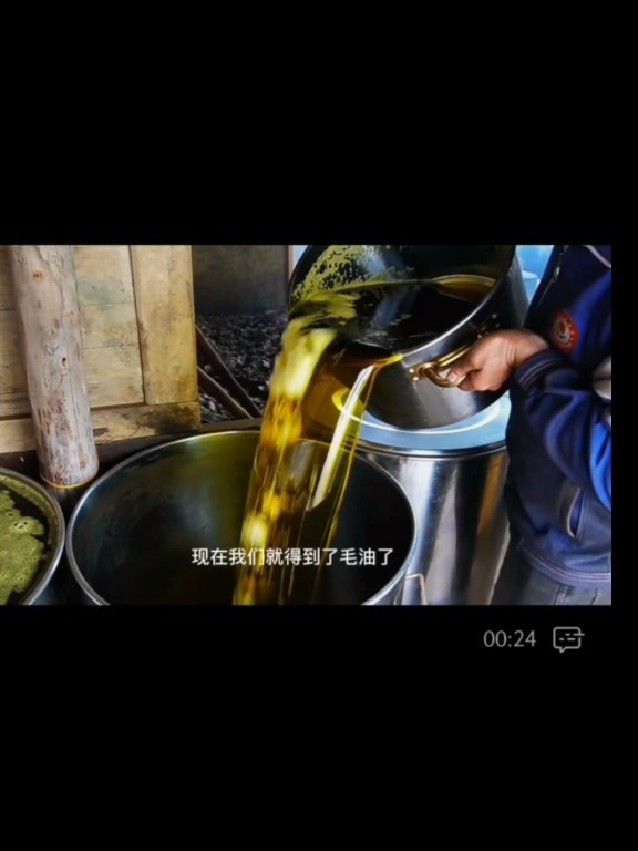 如何压榨菜籽油?