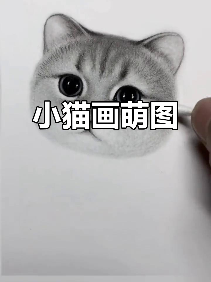 呆萌小猫画画,超可爱!