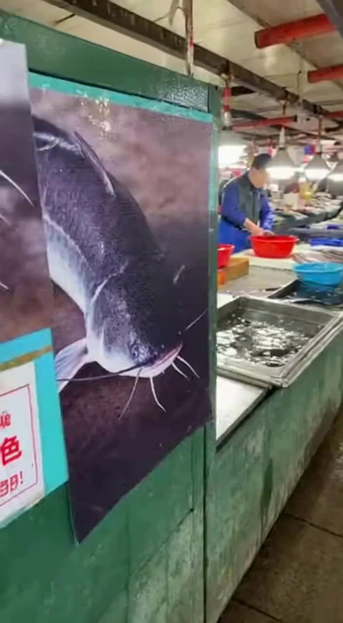 这鱼海报,气场碾压整个水产摊