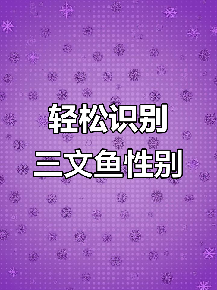 三文鱼雌雄辨别技巧,教你如何分辨真假红鳟