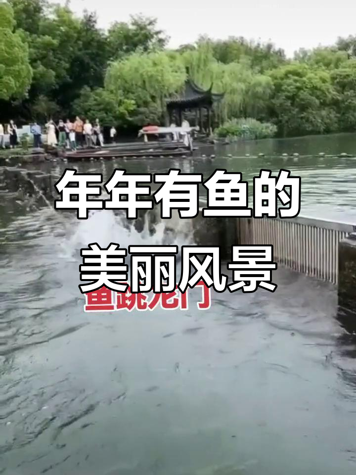 鲤鱼跃龙门,美景尽收眼底