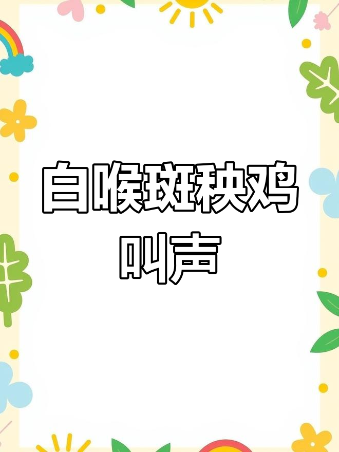 国外合法狩猎白喉斑秧鸡,叫声超萌!