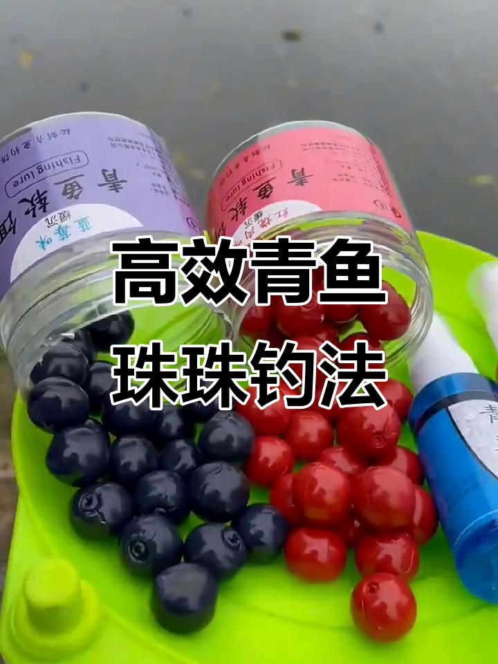 青鱼珠珠钓法揭秘:如何提高中鱼率,技巧全解析