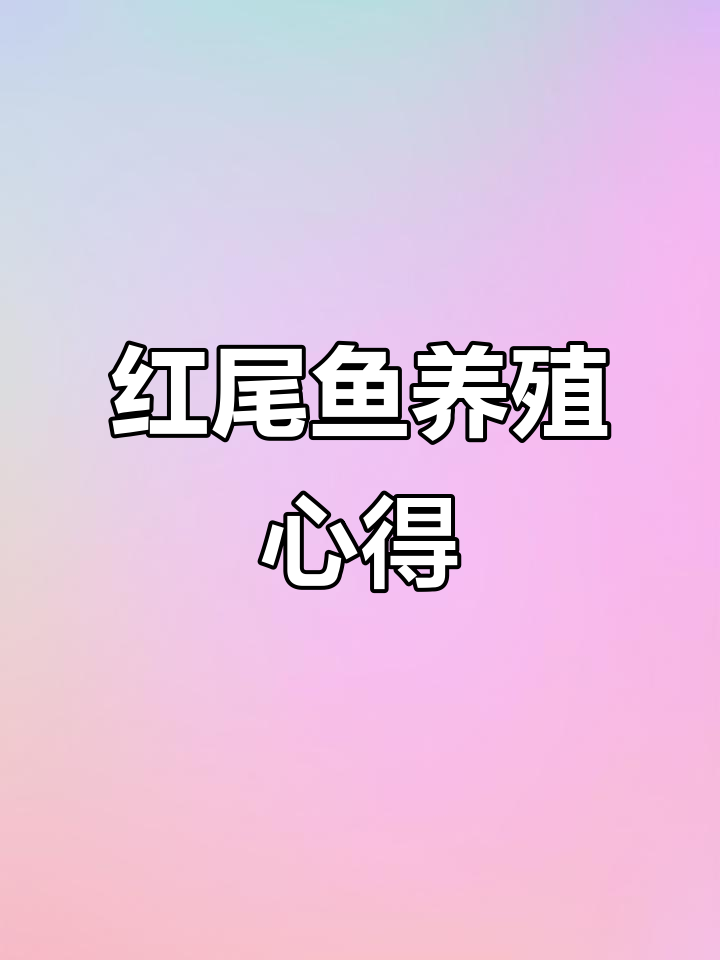 红尾巴鱼养殖与繁殖:坚持到底,收获满满