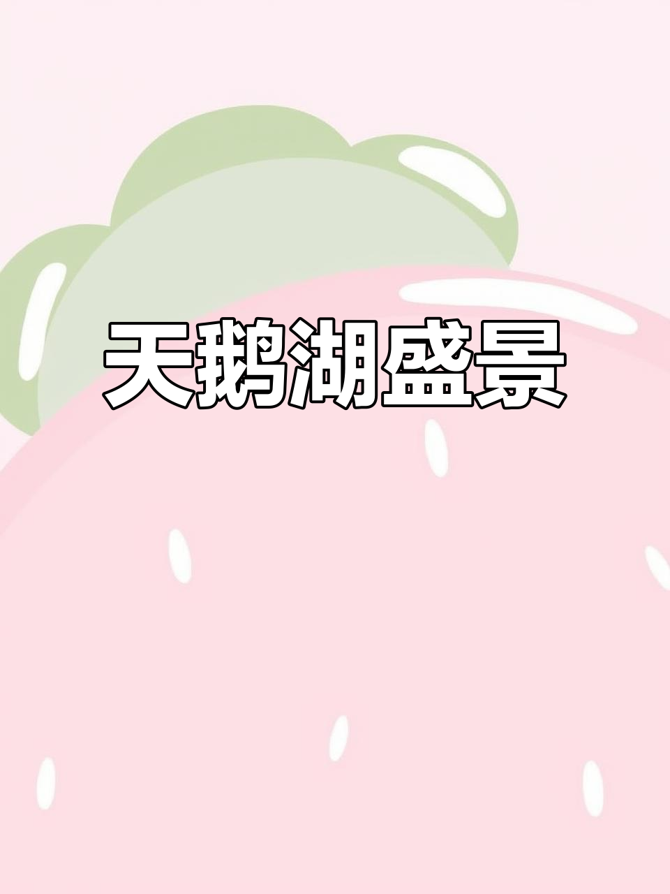 11月6日,天鹅湖湿地公园天鹅破千观赏佳