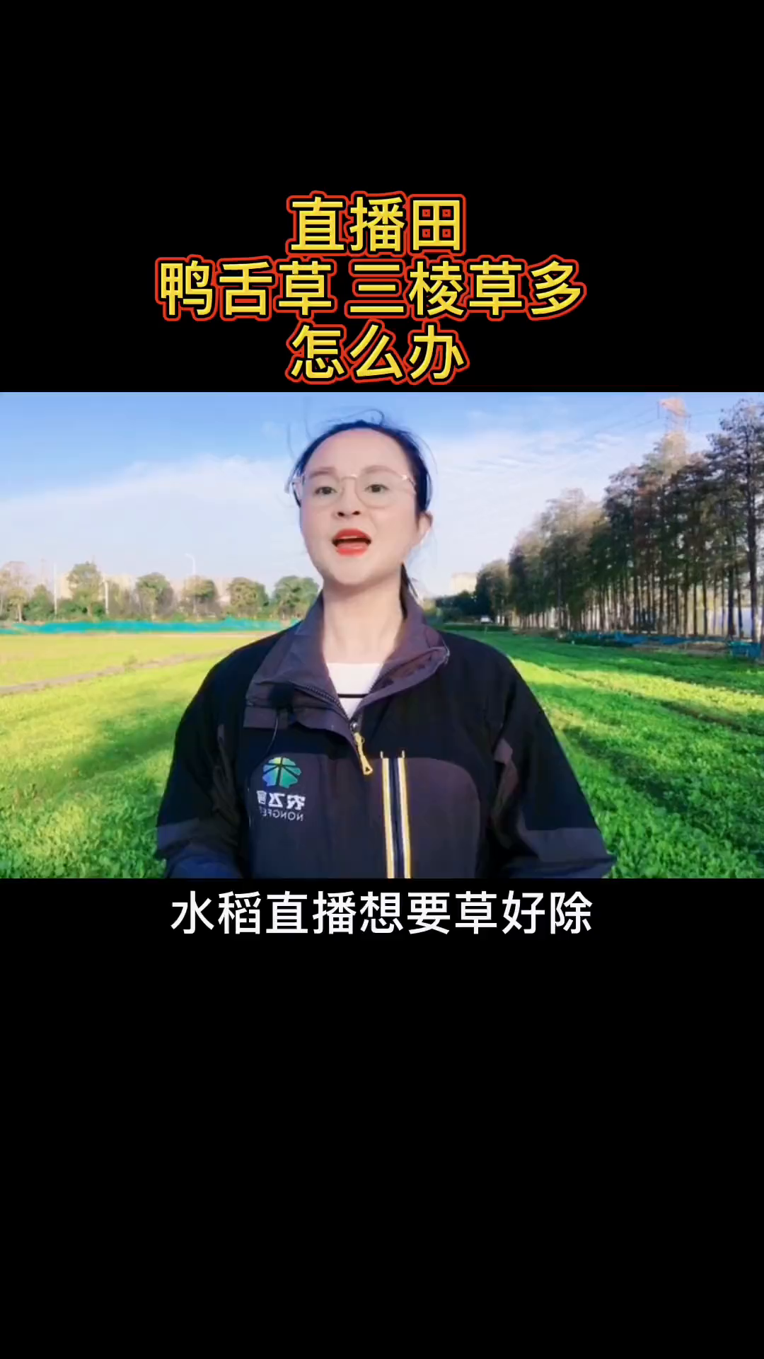 水稻直播田鸭舌草三棱草多，其实只要封闭时苄嘧磺隆剂量用