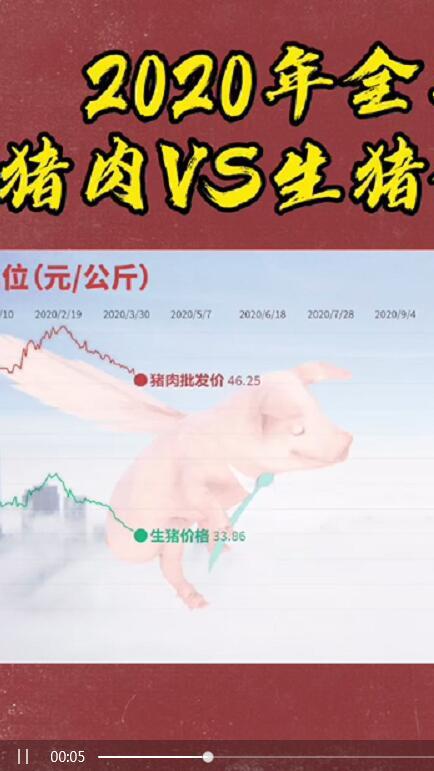 2020年全年生猪与猪肉价格对比!终于知道两者相差几块钱了!2021年猪肉会跌成白菜价吗