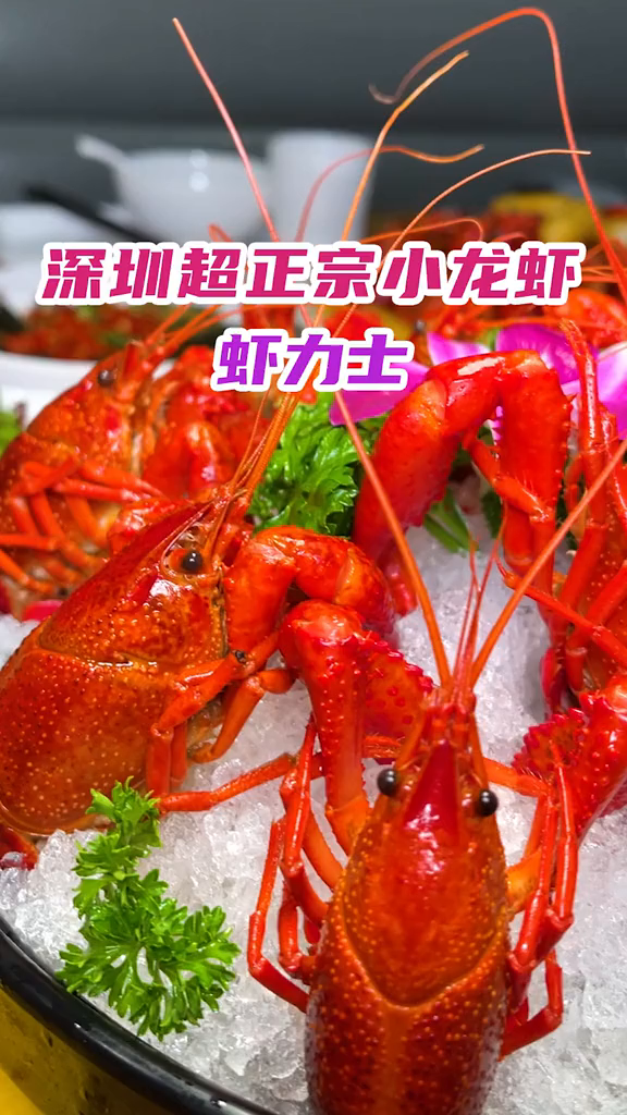 南京的小龙虾排队王开到深圳了