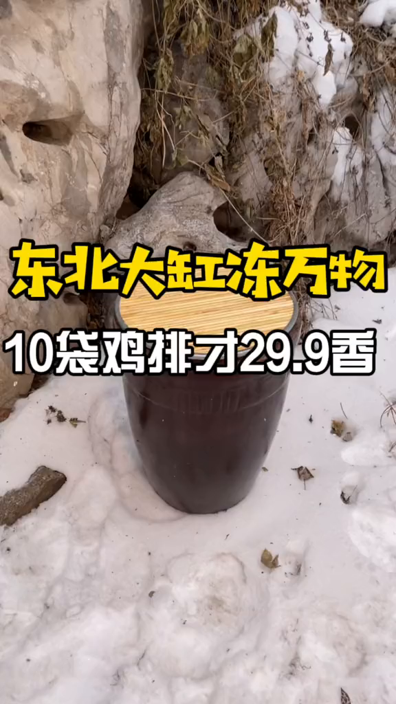 10袋鸡排才29.9,东北大缸冻万物!