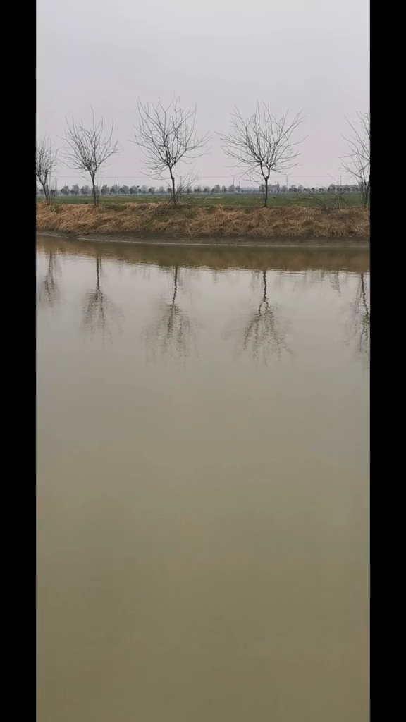 点开头像分享更多钓鱼小技巧,喜欢钓鱼的朋友双击评论野钓(3)