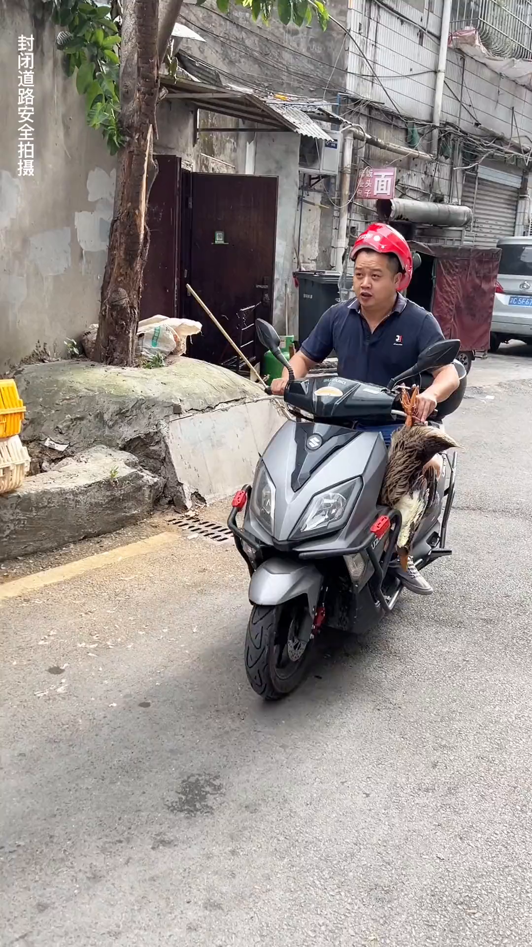 今天吃干锅鸭子,麻辣干香好吃又简单