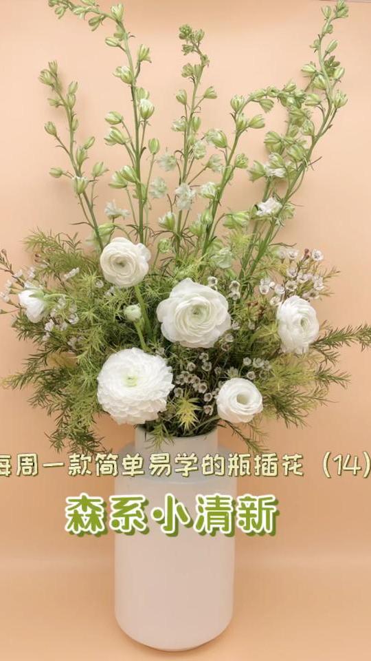 一周一花,森系小清新