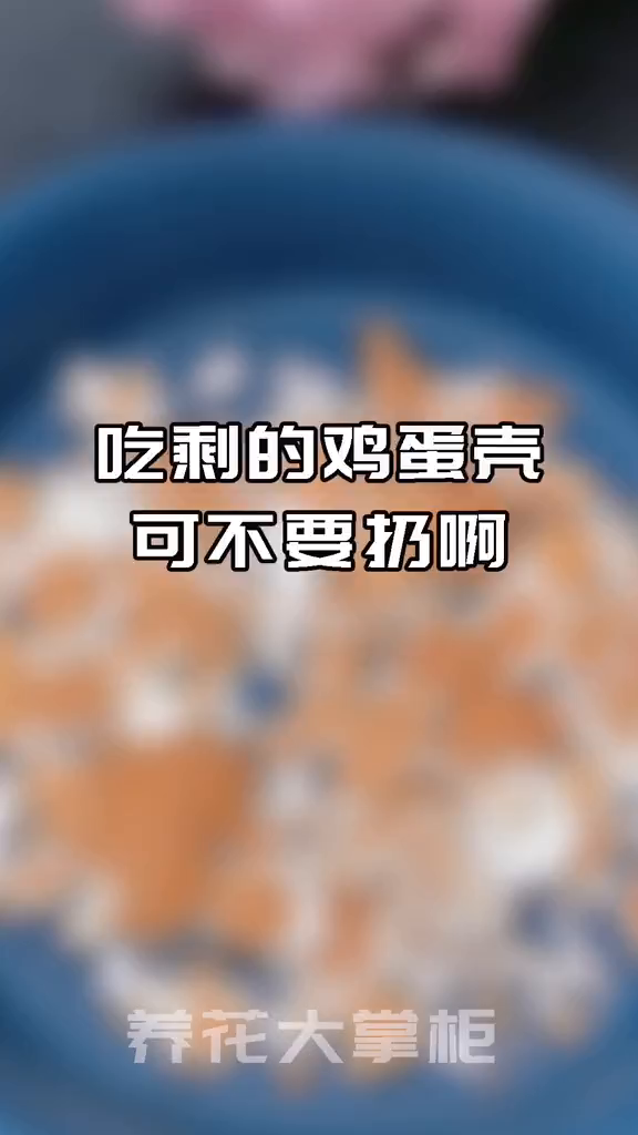吃剩的鸡蛋壳不要扔,拿来养花,可以当磷肥用,也能当大颗粒,增加透气性