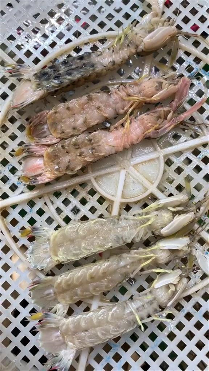 变色的皮皮虾不要吃,已经变质变味了