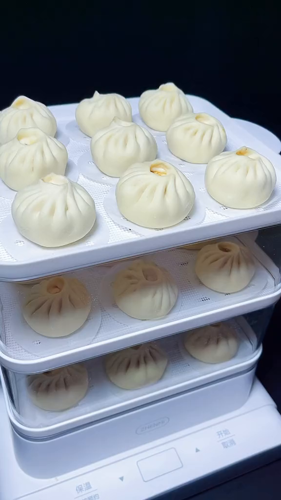 这就是我家蒸包子的3层电蒸锅