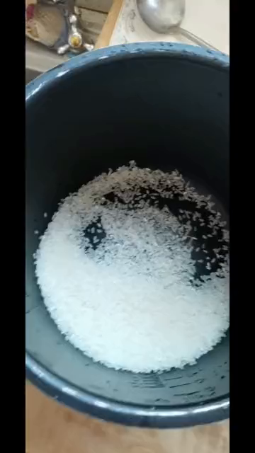 今天沙光鱼炖豆腐,蒸米饭