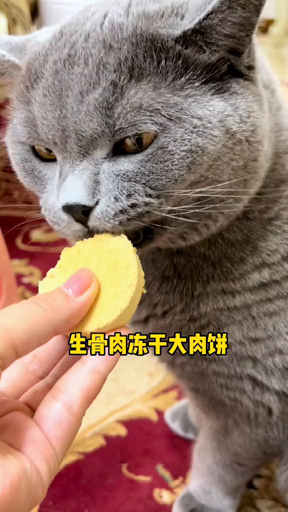 生骨肉冻干大肉饼,贼好吃的发腮小零食