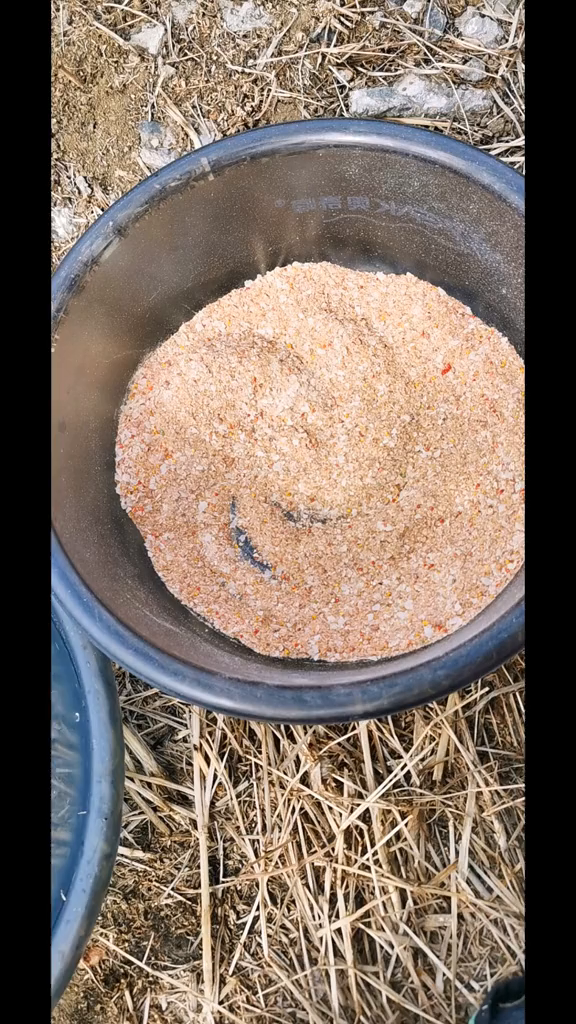 点开头像分享更多钓鱼小技巧,喜欢钓鱼的朋友双击评论野钓(4)