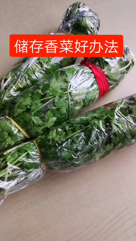 吃不完的香菜这样储存起来,留着冬天吃
