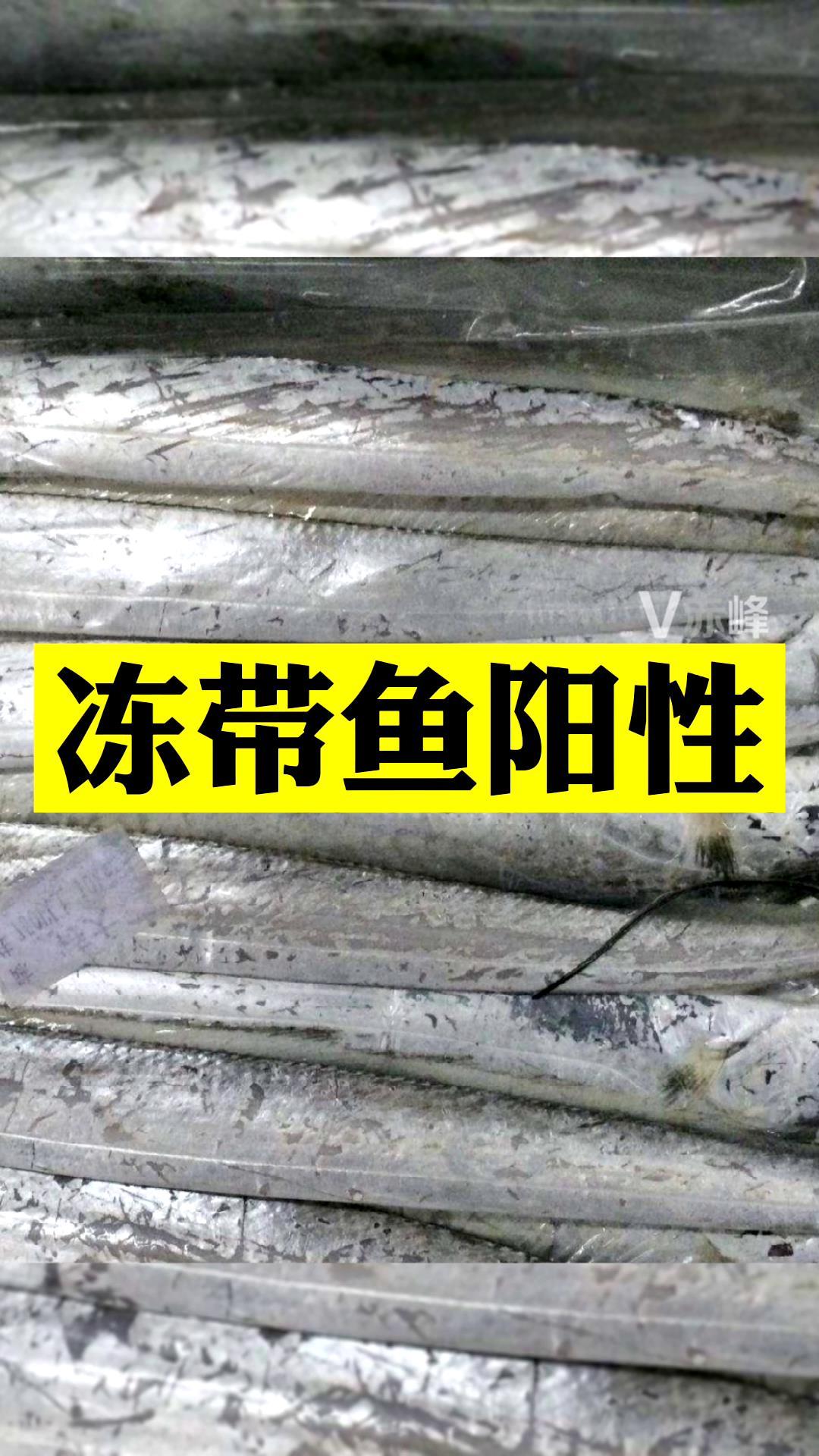 冻带鱼阳性