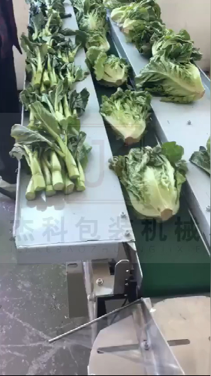 超市包青菜的自动套袋包装机多少钱?蔬菜有多种具体价格要看型号,伺服比双变频贵一些