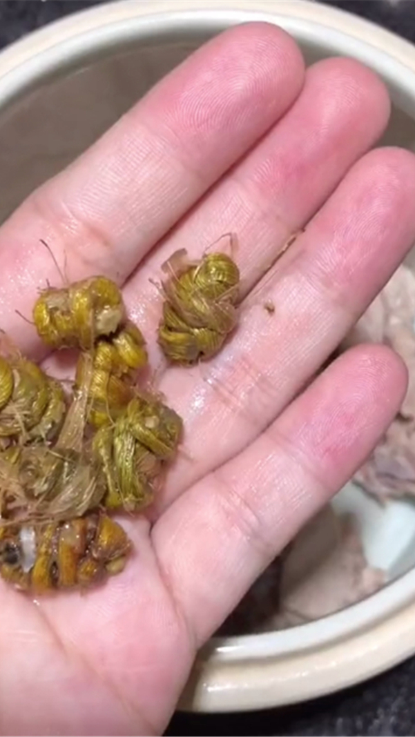 经常熬夜,饮食不规律人群常喝这款汤,清热降火,健脾养胃