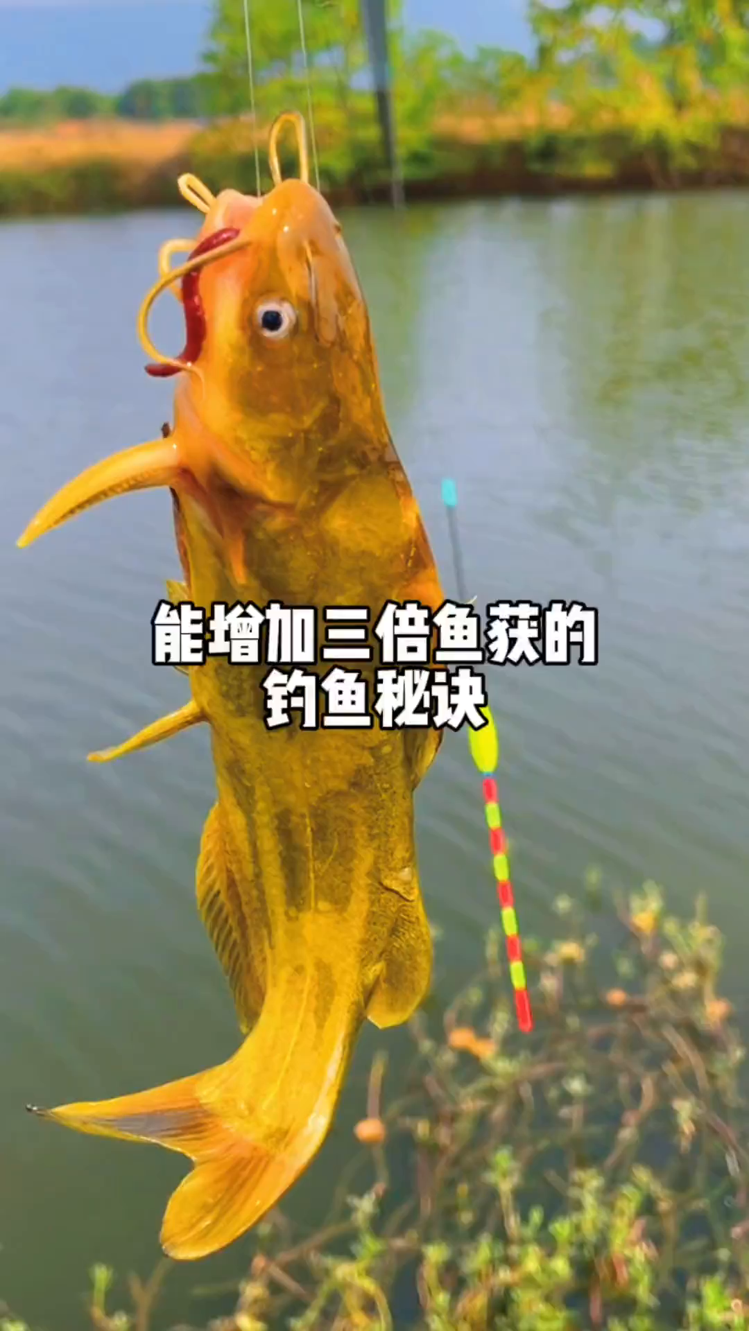 能增加三倍鱼获的钓鱼秘诀,你学会了吗?