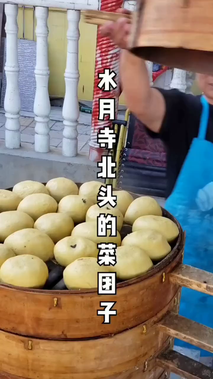 您买几个菜团子回去,指定讨他(她)们欢喜