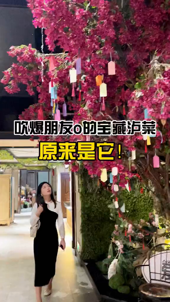 吹爆朋友o的宝藏泸菜