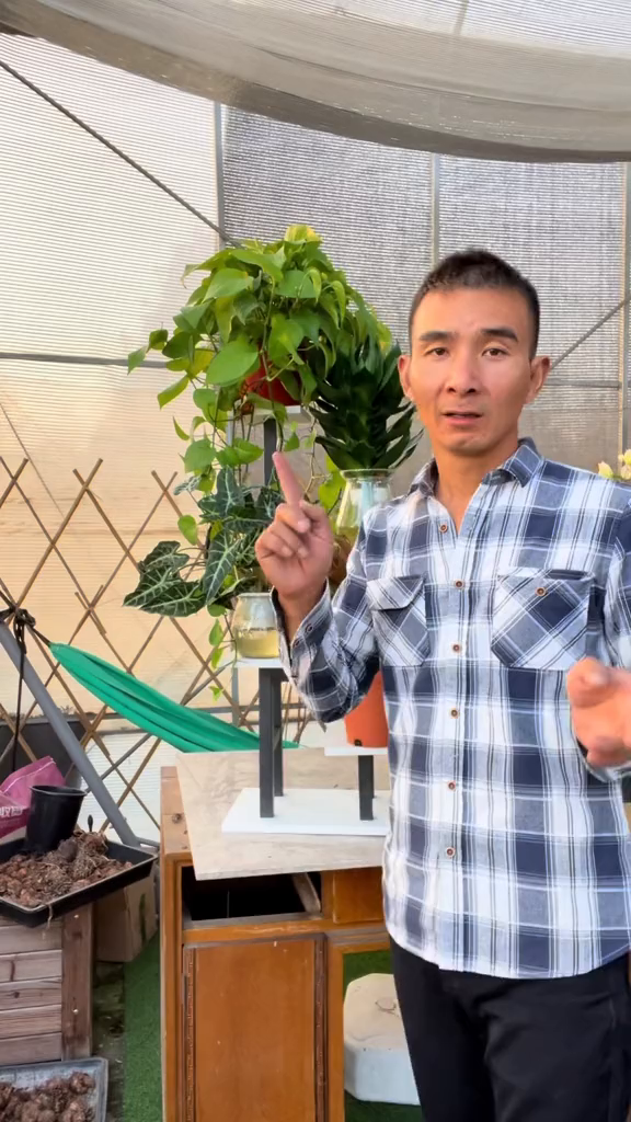 一个小小的花架就解决了花盆不够放的烦恼!