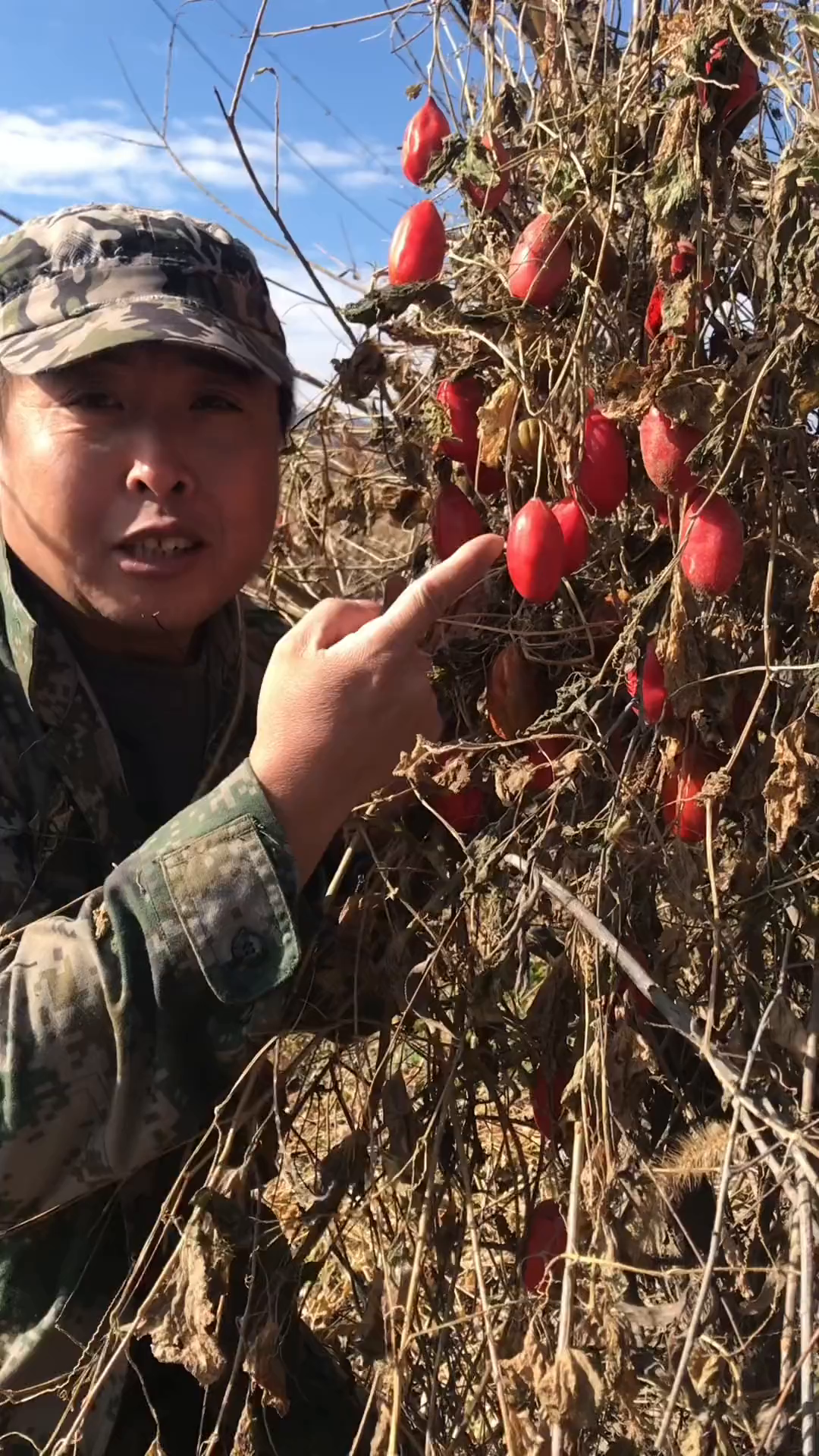 气包子，你有多少年没见过了