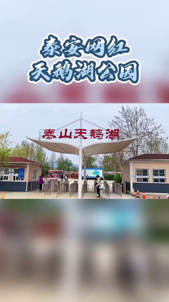 泰安西部最好玩的网红公园,赶紧带上你的小伙伴们来打卡吧